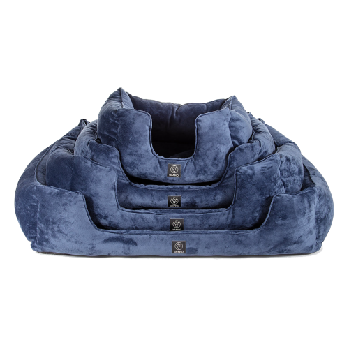 ae12b8_fc00731ef56447ef8b58e89da6f8a211~mv2 kopia.png