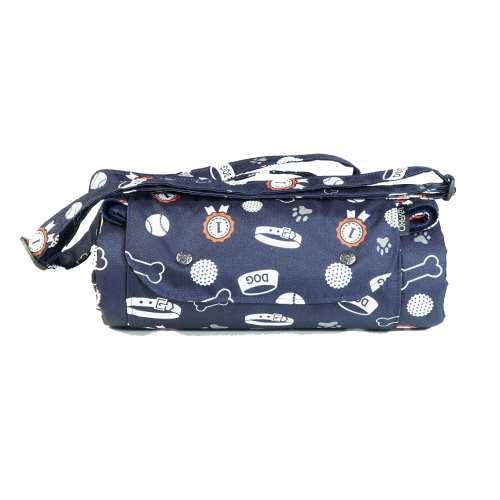 ae12b8_6c27dbc788204f4b941c204a3cca45b1~mv2 kopia.png