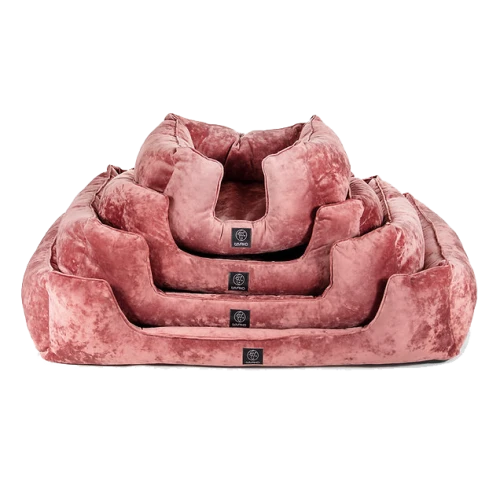 ae12b8_79d747a9f9e84df2a5b7f806733ef9f7~mv2 kopia.png