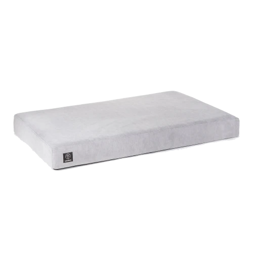 ae12b8_f826d247e4294407986fe0db18f64276~mv2 kopia.png