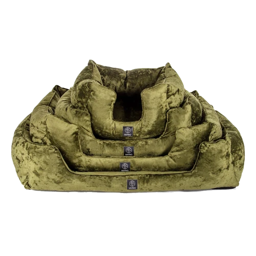 ae12b8_50a231a6d3f744d2b21532cca64bb190~mv2 kopia.png