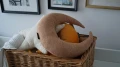 DSC01253.JPG