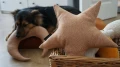 DSC01237.JPG