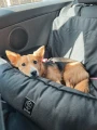 image00001.jpeg
