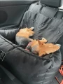 image00003.jpeg