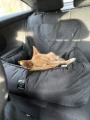 image00004.jpeg