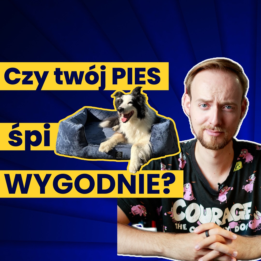 Recenzja WYRKA okiem psiego behawiorysty